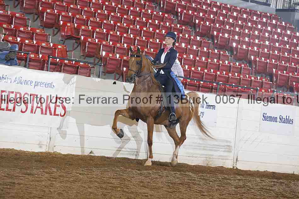 Proof 13buck_0067