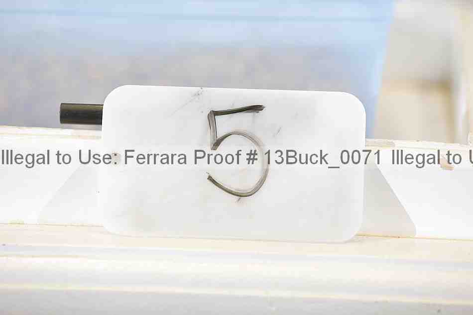 Proof 13buck_0071