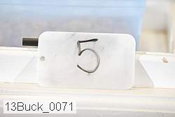 13buck_0071 proof