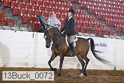 13buck_0072 proof
