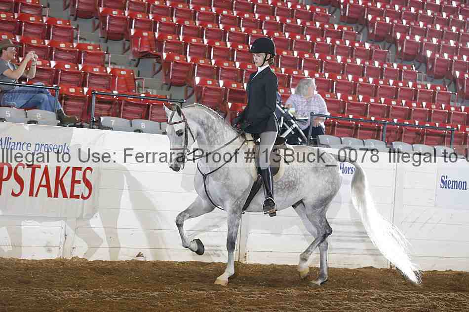 Proof 13buck_0078