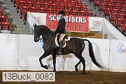 13buck_0082 proof