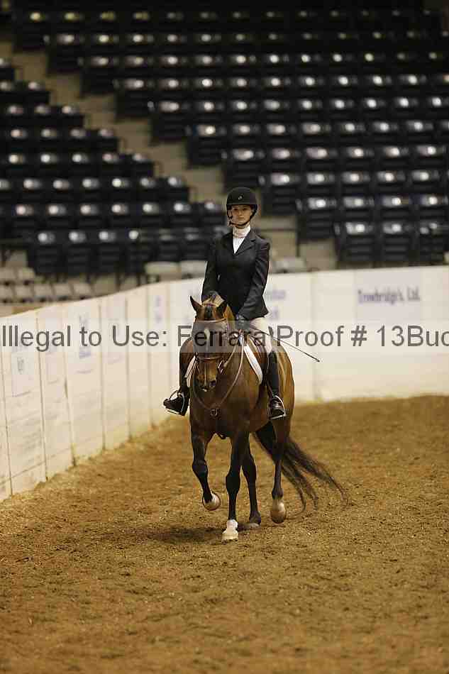 Proof 13buck_0087