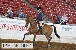 13buck_0091 proof