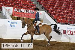 13buck_0092 proof
