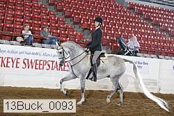 13buck_0093 proof