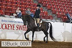 13buck_0097 proof