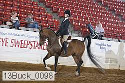 13buck_0098 proof