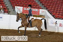 13buck_0100 proof