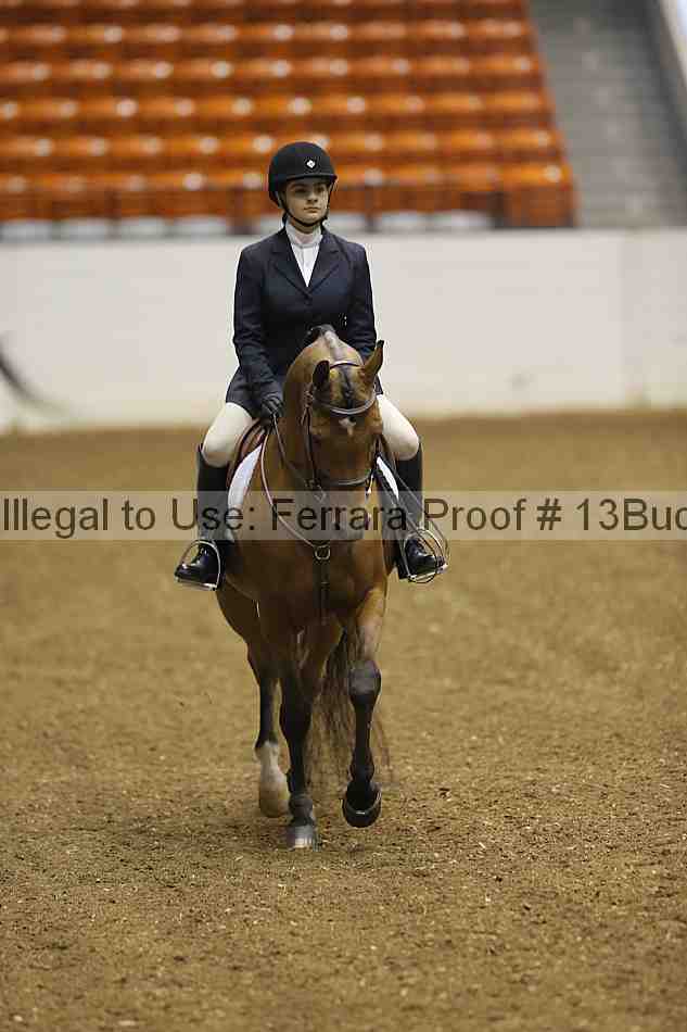 Proof 13buck_0101