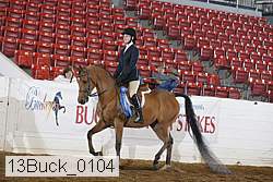 13buck_0104 proof
