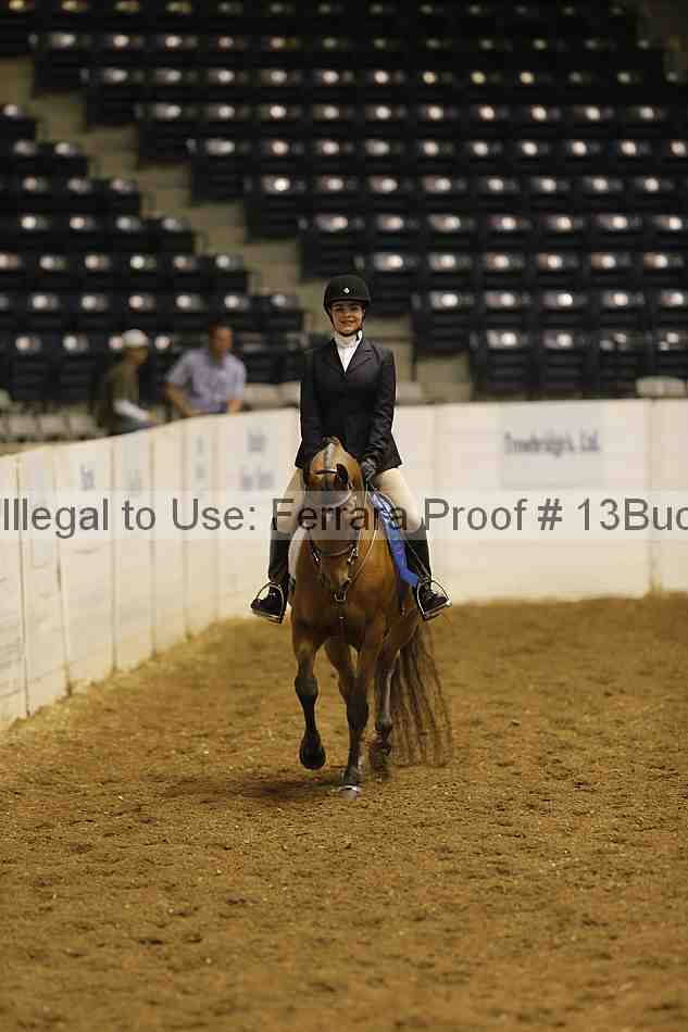 Proof 13buck_0105