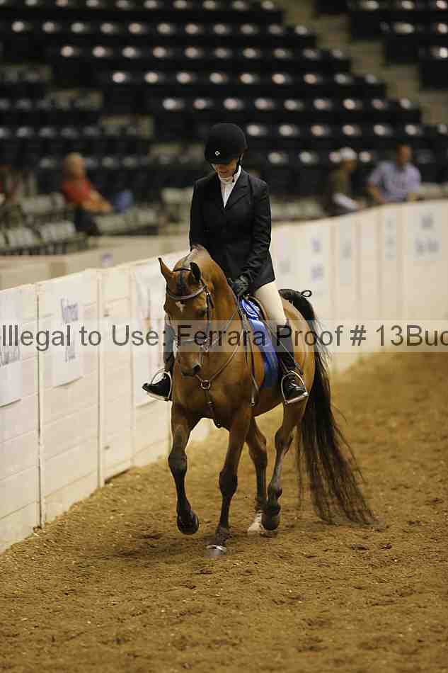 Proof 13buck_0106