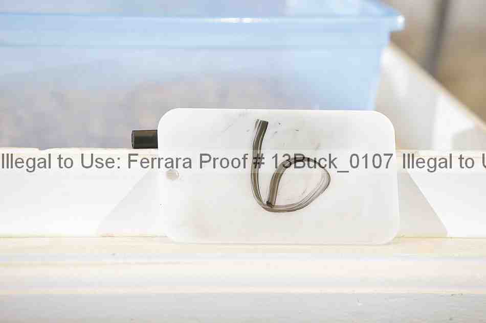 Proof 13buck_0107