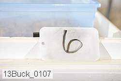 13buck_0107 proof