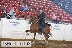 13buck_0108 proof