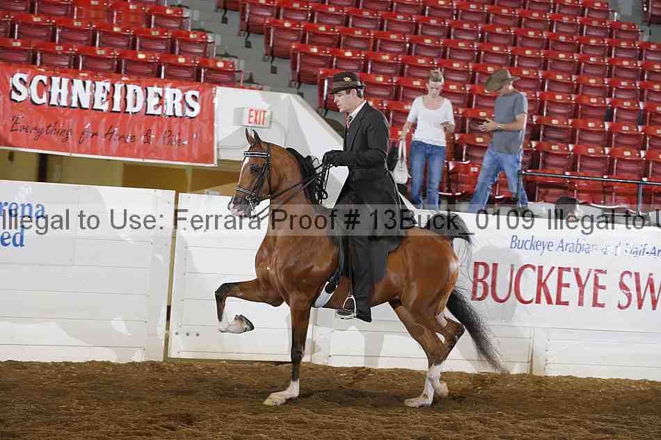 Proof 13buck_0109