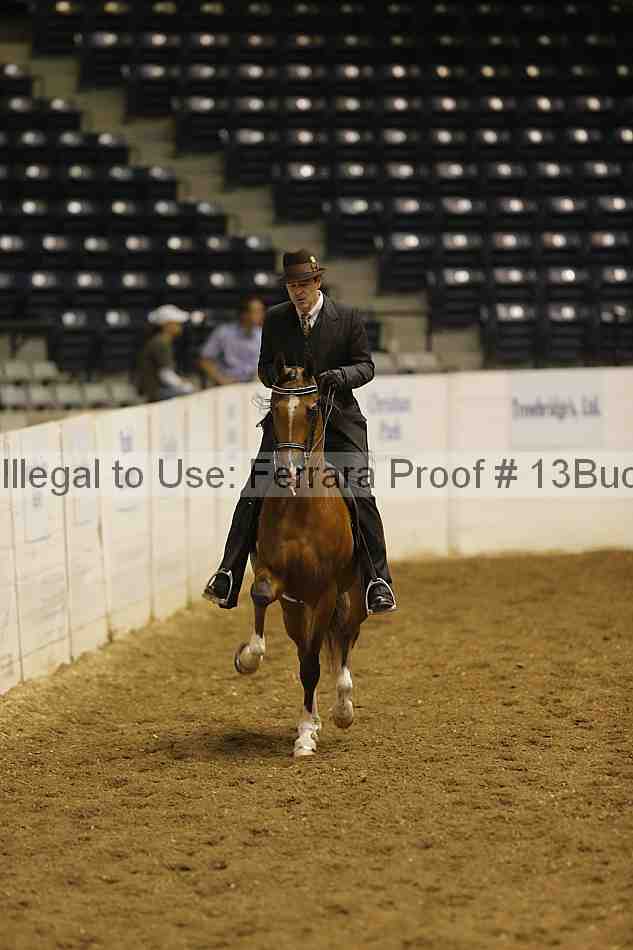 Proof 13buck_0110