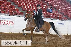 13buck_0111 proof