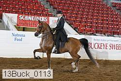 13buck_0113 proof