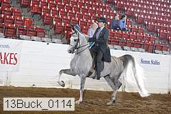 13buck_0114 proof