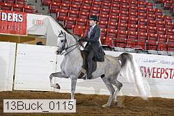 13buck_0115 proof