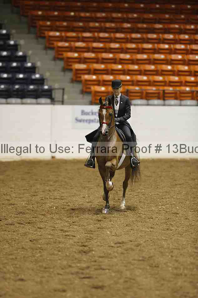 Proof 13buck_0116
