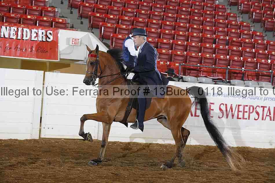 Proof 13buck_0118