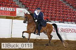 13buck_0118 proof