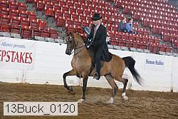 13buck_0120 proof