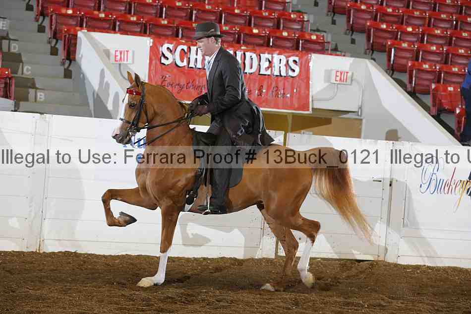 Proof 13buck_0121