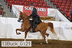 13buck_0121 proof