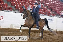13buck_0123 proof