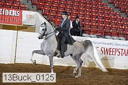 13buck_0125 proof