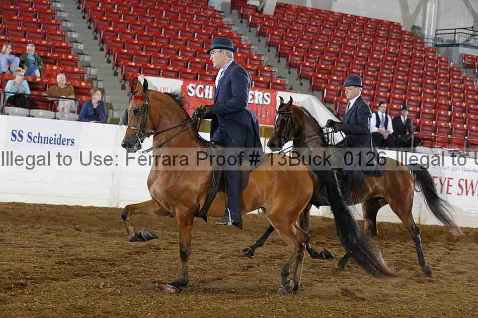 Proof 13buck_0126