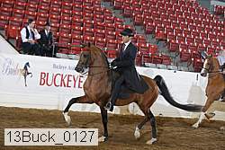 13buck_0127 proof