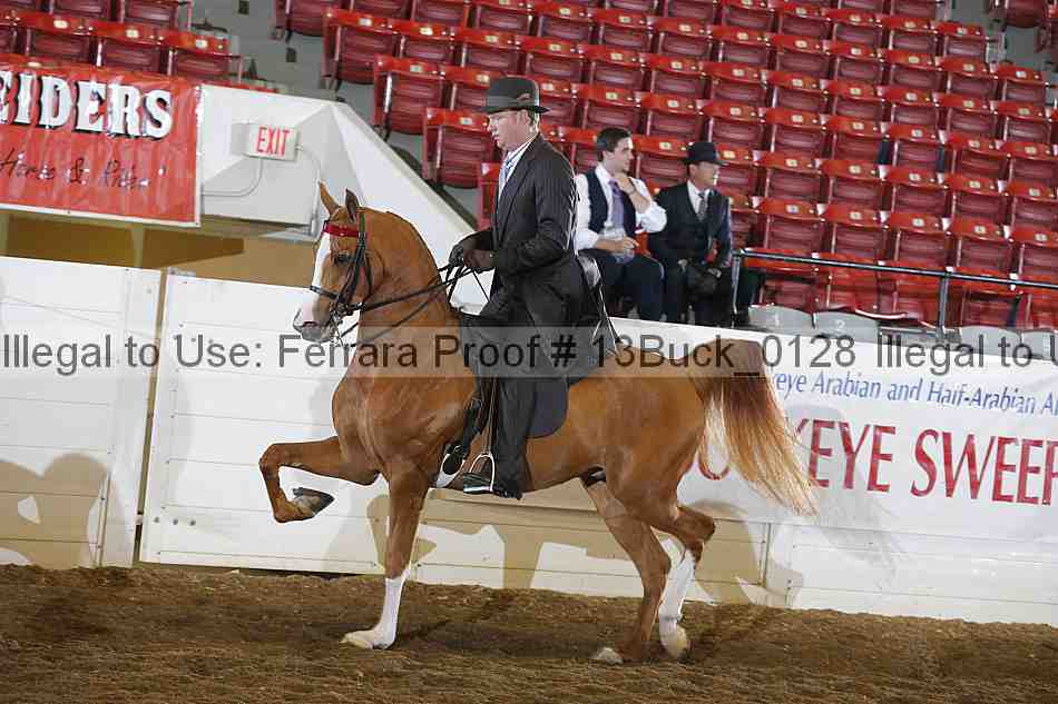 Proof 13buck_0128