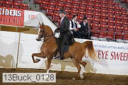 13buck_0128 proof