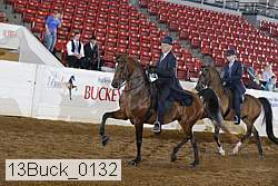 13buck_0132 proof