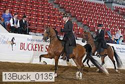 13buck_0135 proof