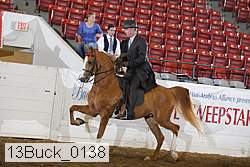 13buck_0138 proof