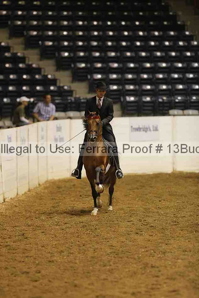 Proof 13buck_0139