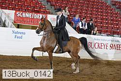 13buck_0142 proof