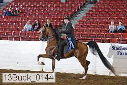 13buck_0144 proof