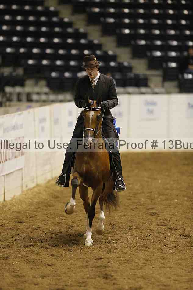 Proof 13buck_0146