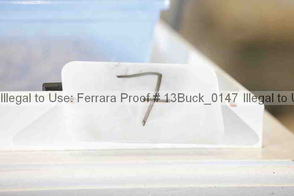 Proof 13buck_0147
