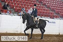 13buck_0148 proof