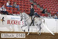 13buck_0149 proof