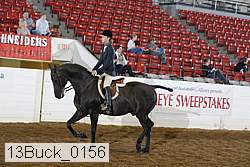 13buck_0156 proof