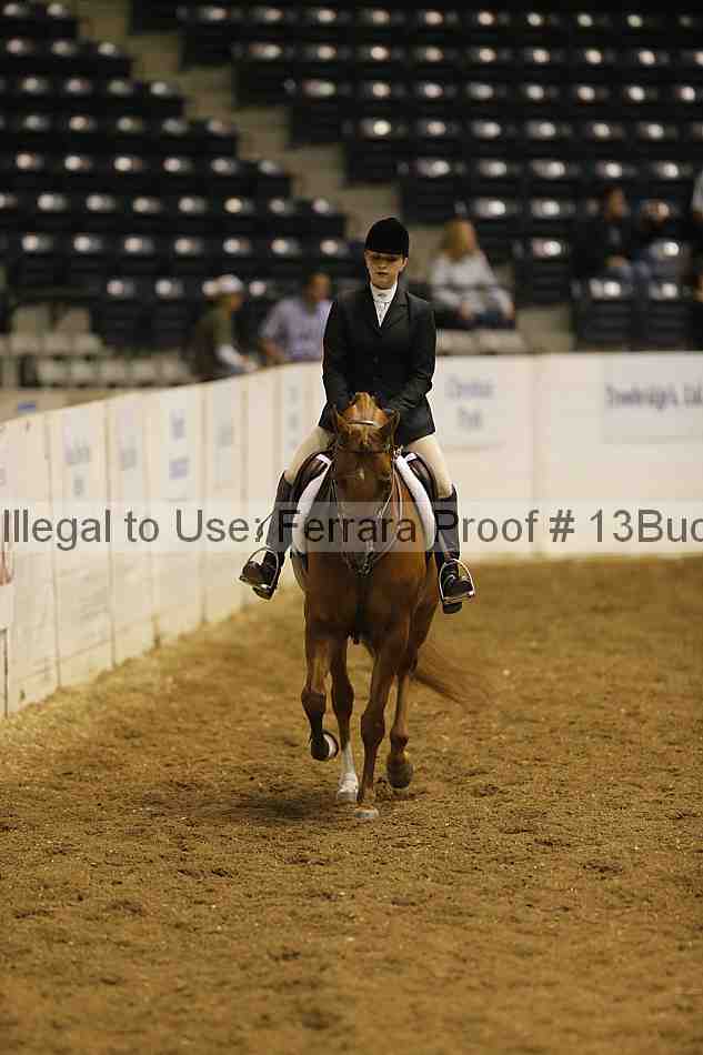 Proof 13buck_0160